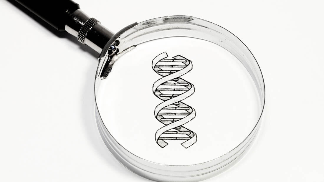 Lupe mit DNA als Symbolbild für Genanalyse.