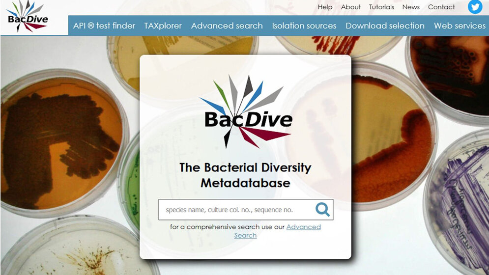 bacdive.jpg Datenbank BacDive