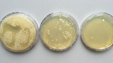 Hygieneprojekt Händehygiene