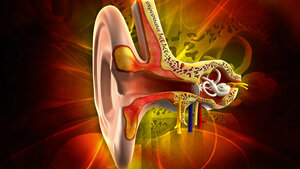 Versorgungsmöglichkeiten von Hörstörungen (Teil 2)