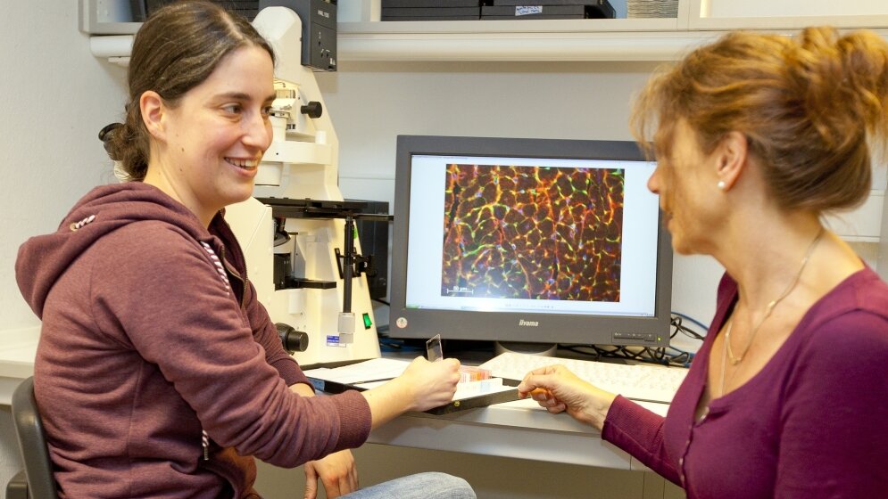 Dr. Britta Stapel und Professorin Hilfiker-Kleiner am Mikroskop