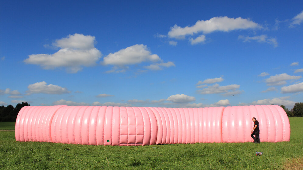 IMG_3852.jpgDarm.jpg Darmmodell