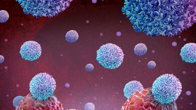 Antibiotikabehandlung hemmt Krebsimmuntherapie, warum?