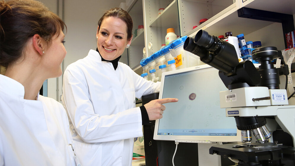Auswertung der liquid biopsy im Labor. 