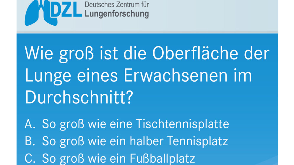 DZL1.jpg DZL1.jpg