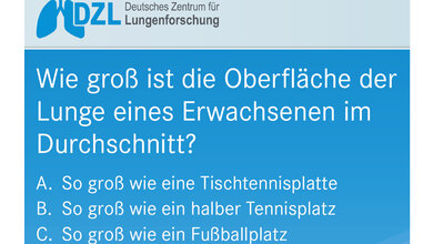 DZL1.jpg