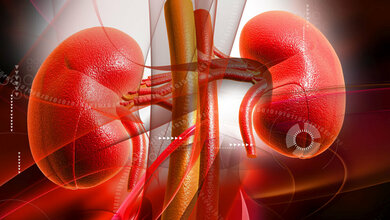 Fehleinschätzung bei PTH? 