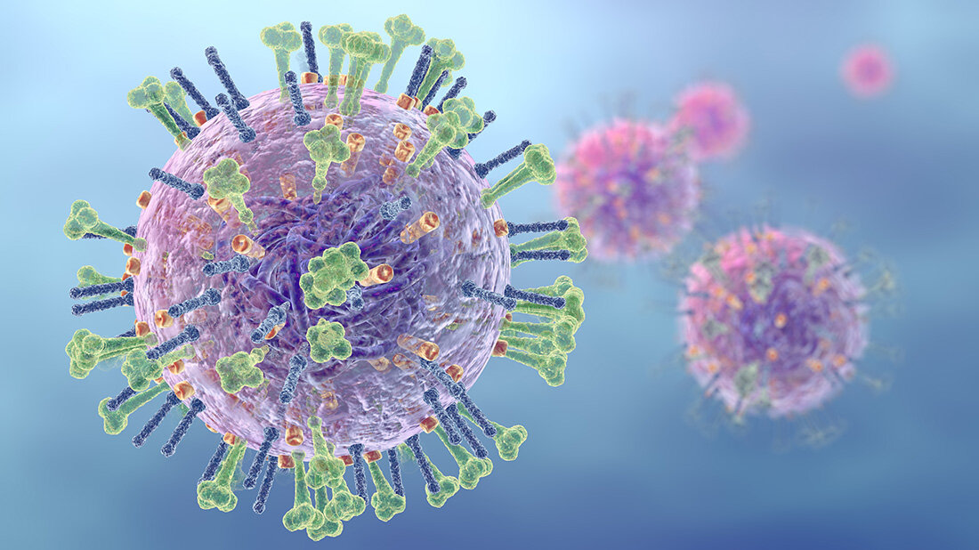 Grippevirus.jpeg Grippevirus