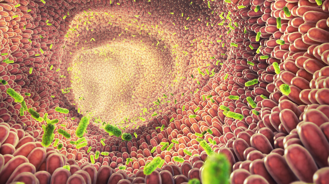 Darmkeime und Rheuma: Rolle des Mikrobioms