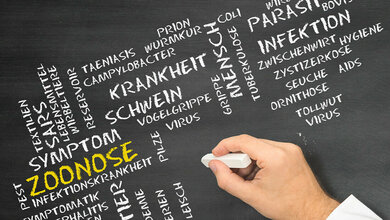 Forschende untersuchen Zoonosen, um Vorsorgemaßnahmen gegen zukünftige Pandemien zu eruieren