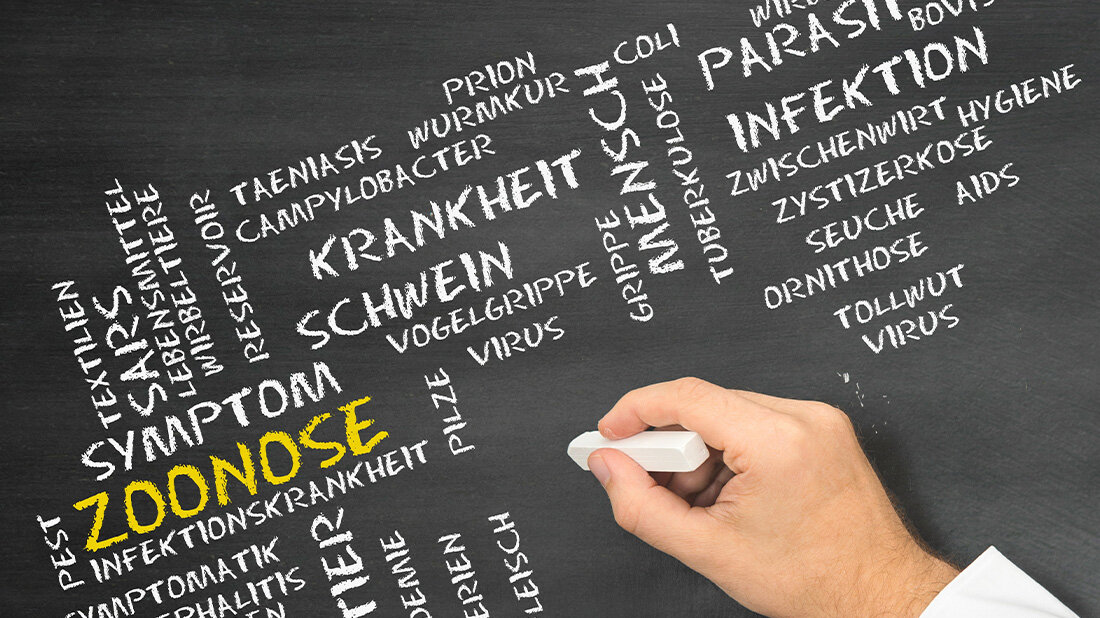 Forschende untersuchen Zoonosen, um Vorsorgemaßnahmen gegen zukünftige Pandemien zu eruieren
