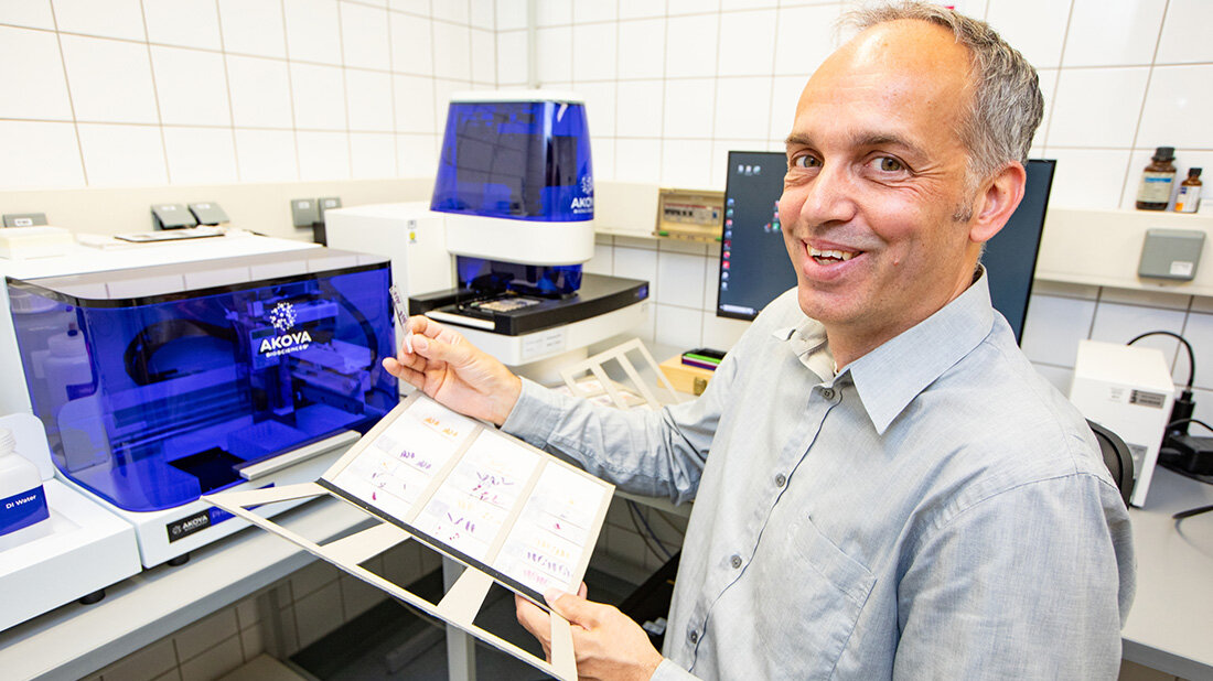 Prof. Dr. Matthias Hardtke-Wolenski