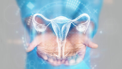 Gebaermutter_Endometriose.jpg Gebärmutter Endometriose