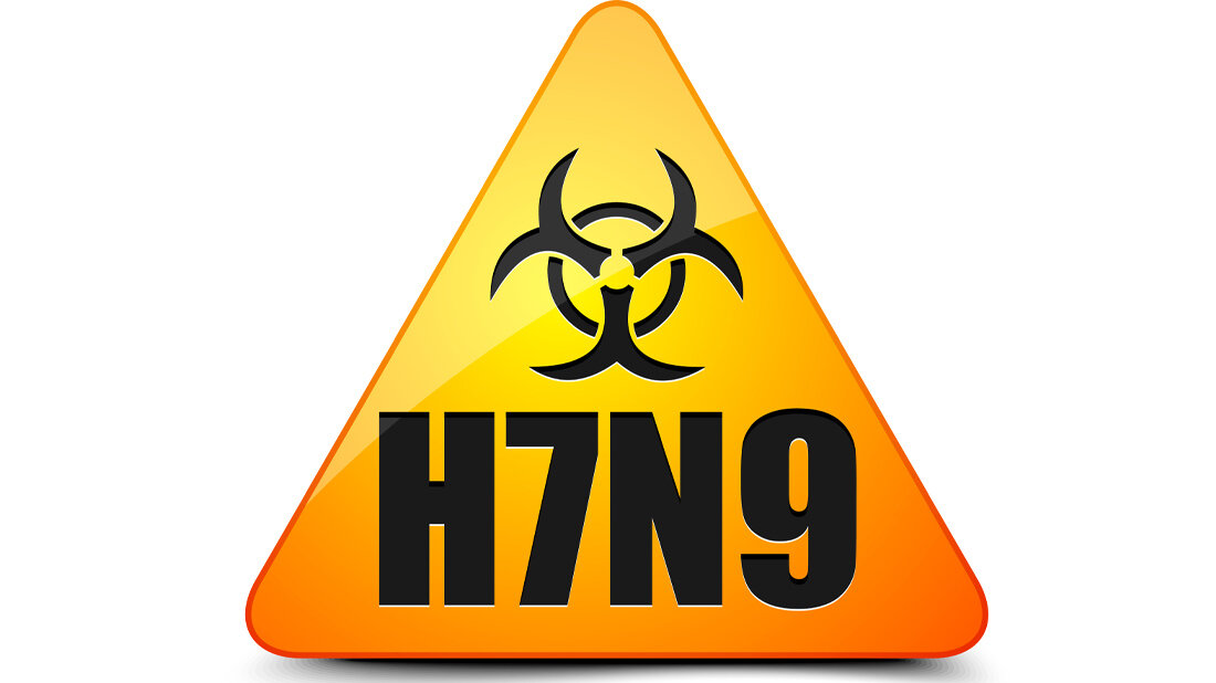 Vogelgrippe beim Menschen