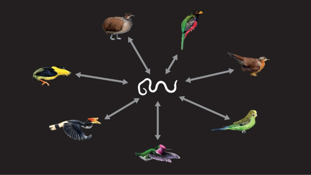 DNA-Fossilien von Fadenwürmern