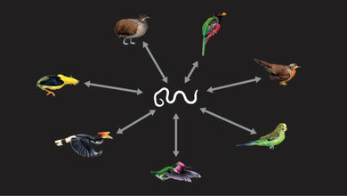 DNA-Fossilien von Fadenwürmern
