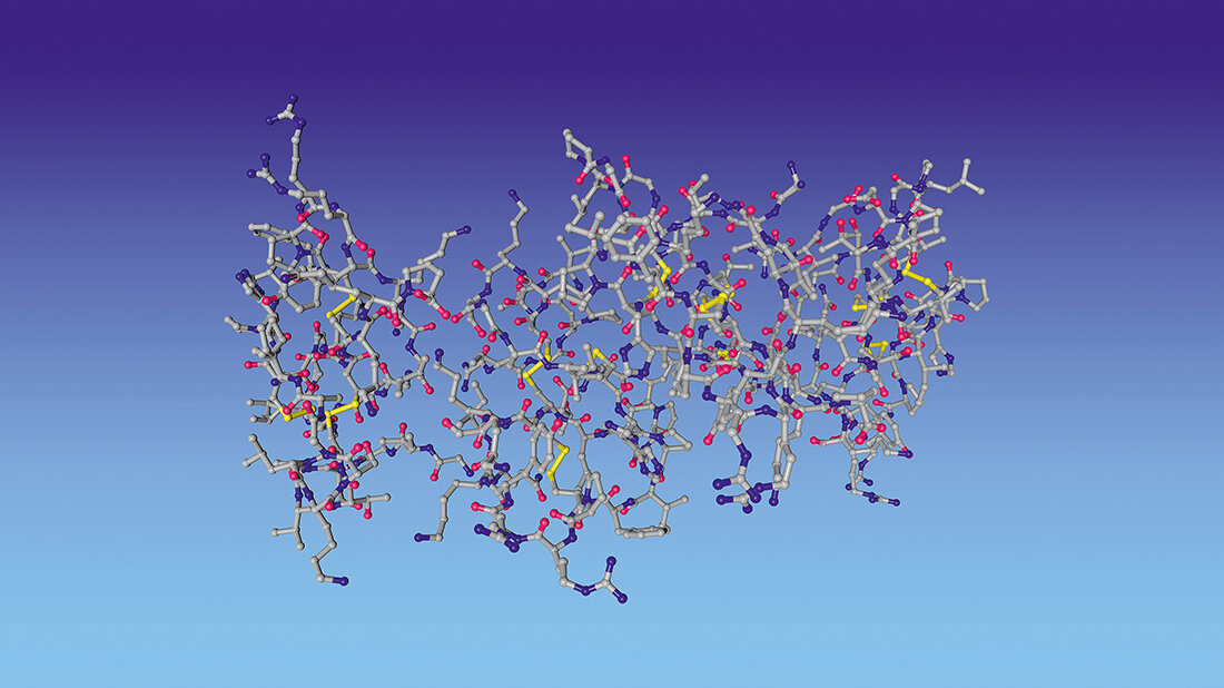 Antimikrobielle Peptide des Menschen Schematische Darstellung des humanen β-Defensins 2