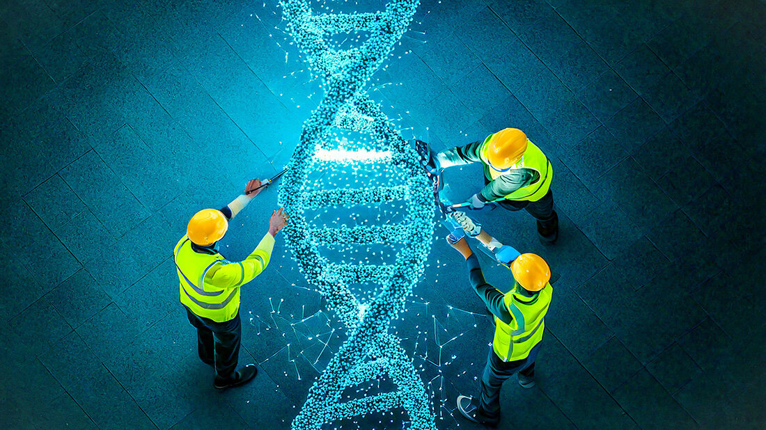 DNA-Reparatur.jpg DNA-Reparatur