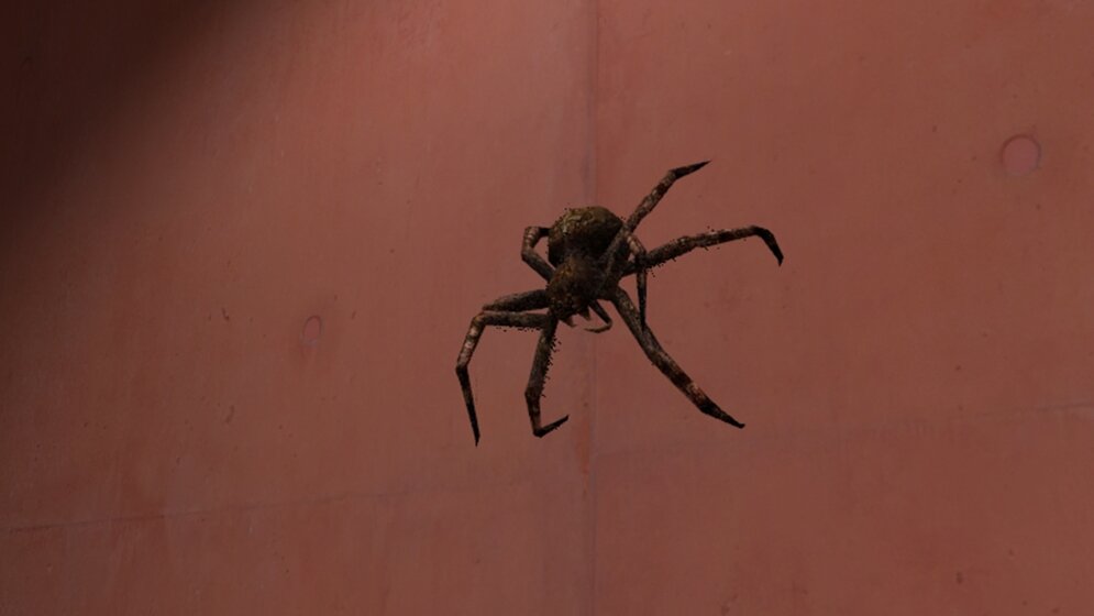 Virtuelle Spinne
