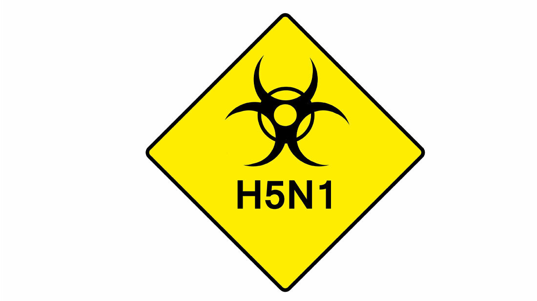 H5N1