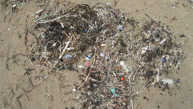 Mikroplastik_IOW__B_Hentzsch.jpg Mikroplastik