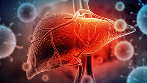 Titelbild zum Fachbeitrag über eine Häufung akuter Hepatitiden bei Kindern in Großbritannien
