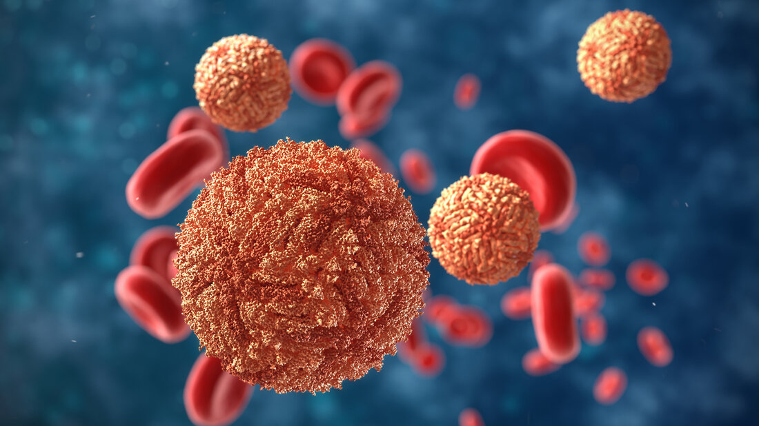 Immun-Escape-Strategie des Zikavirus