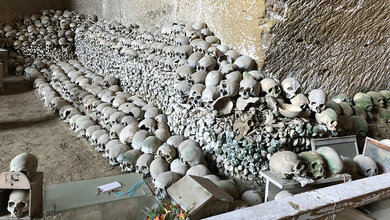 Historische Pandemien mit Auswirkungen auf die heutige Gesellschaft (Teil 1)