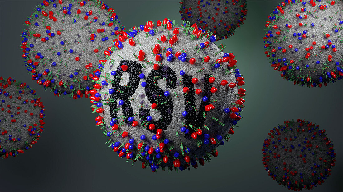 RSV-Impfstoff.jpg RSV-Impfstoff.jpg