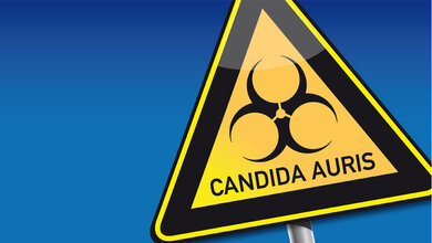 Candida auris Warnschild