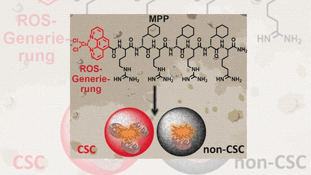 Neues Metallopeptid 
