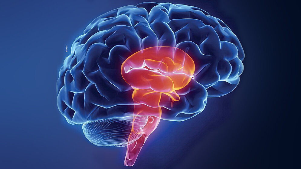 Peripher vestibuläre oder zentrale Ursache des Schwindels? Neurologie