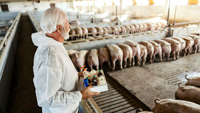 Einsatz von Antibiotika in der Tiermedizin
