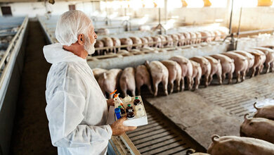 Einsatz von Antibiotika in der Tiermedizin