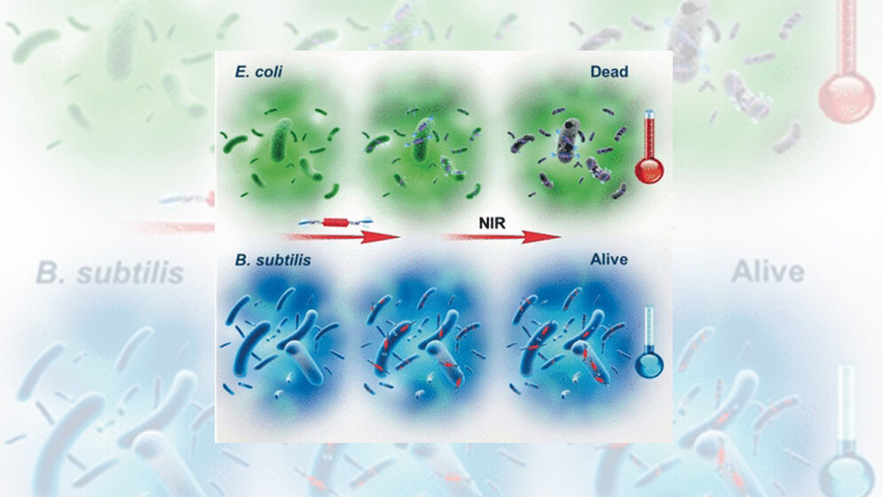 Infrarotlicht_toetet_Keime_Wiley_VCH.jpg Infrarotlicht in Wärme umgewandelt tötet Keime ab