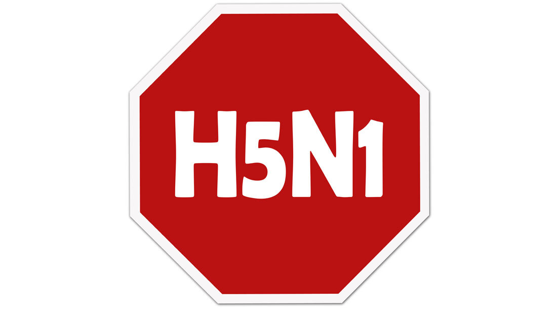 Stoppschild mit H5N1