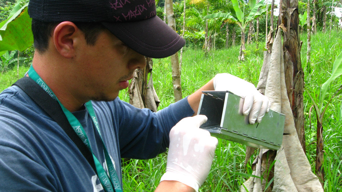 Charité-Forscher sichtet eine Nagetierfalle 