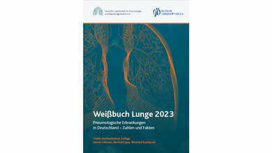 Weißbuch Lunge mit aktuellen Zahlen