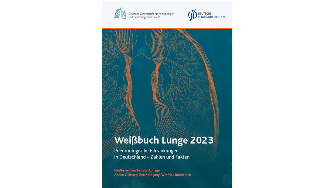 Weißbuch Lunge mit aktuellen Zahlen