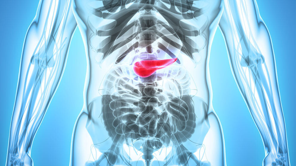 Bauchspeicheldruese_yodiyim_shutterstock.jpg Diagnostische Marker für Typ-2-Diabetes?
