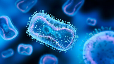 Zellkulturstudie Mpox