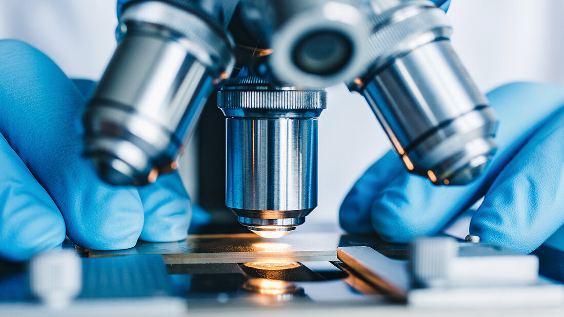 Das Mesothel – Relevanz in der Ergusszytologie Nahaufnahme eines Lichtmikroskops