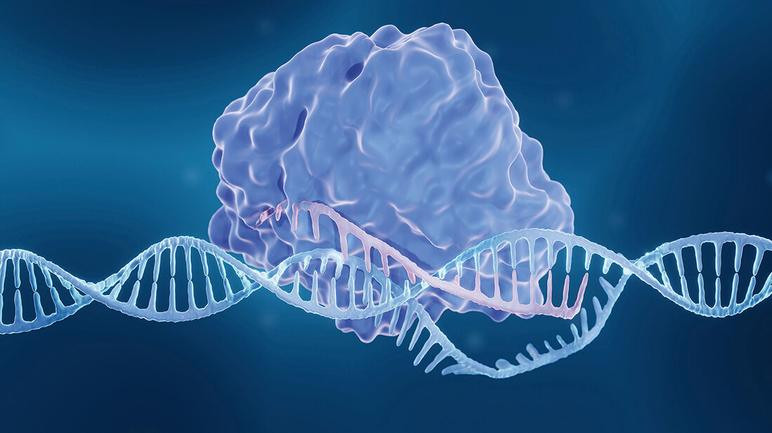 Titelbild des Beitrags über die Entwicklung der CRISPR-Methode