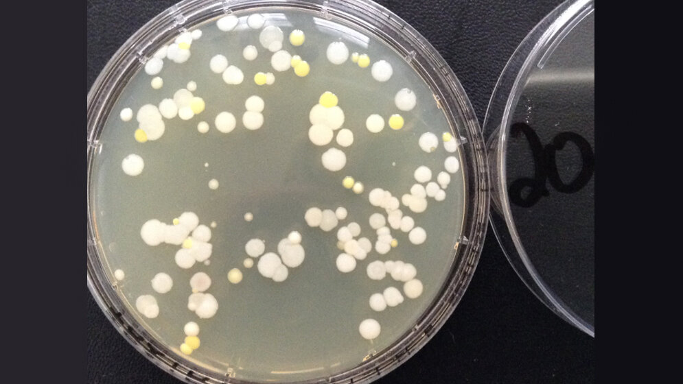 Hygieneprojekt Händehygiene