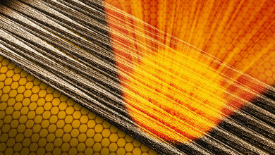 Fibrillen lagern sich auf dem ultraduennen Traeger aus Graphen an