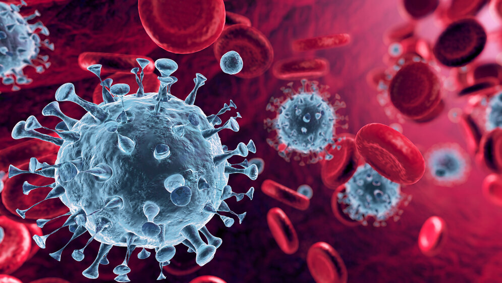 Coronavirus_Romolo_Tavani_stock_adobe_com.jpg SARS-CoV-2
