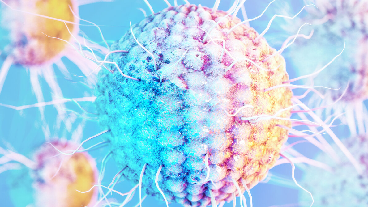 Herpes_Zoster_Corona.jpg Eine COVID-Impfung erhöht nicht das Risiko, an Gürtelrose zu erkranken.
