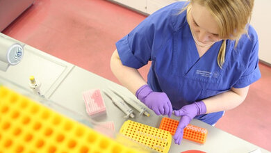 Bild aus der BioBank Dresden.