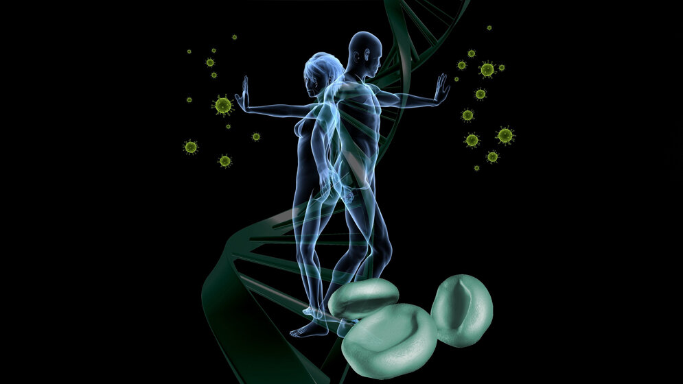 SETD1A verhindert die Anhäufung von DNA-Schäden 