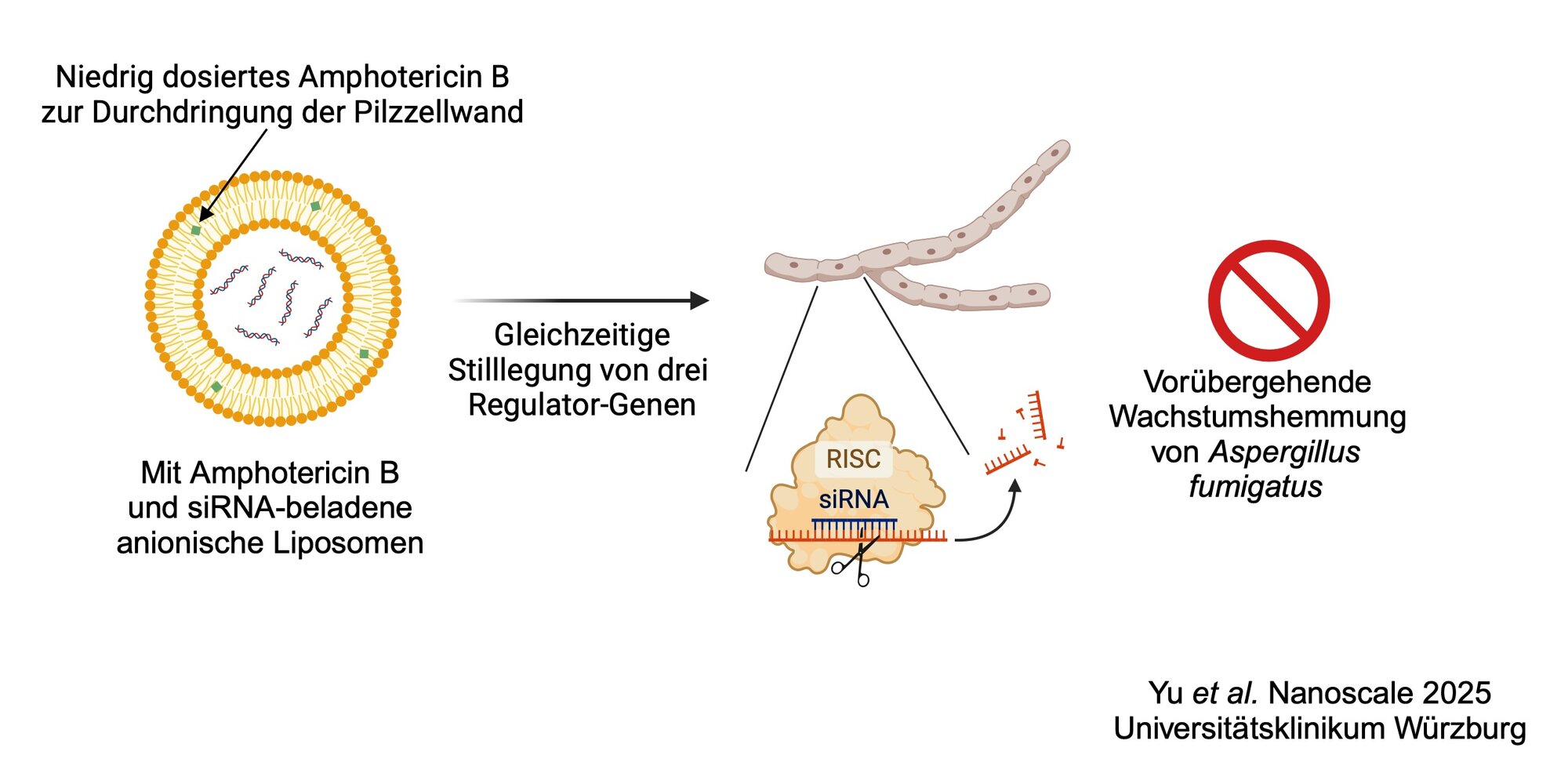 Graphische Zusammenfassung